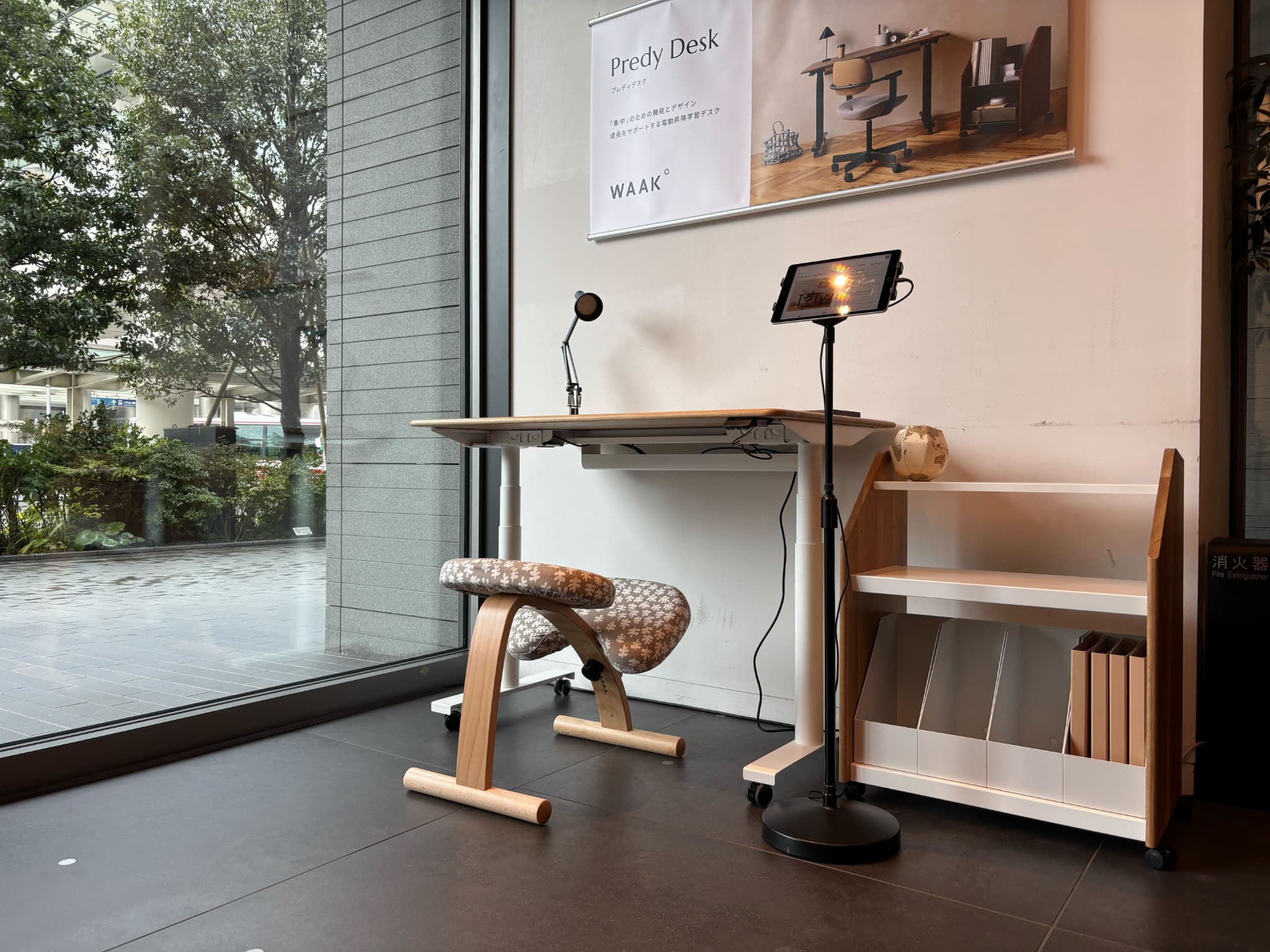 IMG_6799_1.jpg?v=1732513821